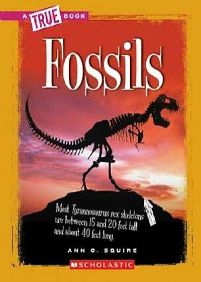 Fossils, Paperback/Ann O. Squire