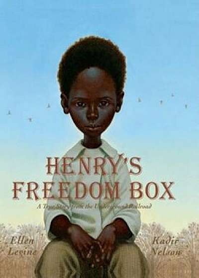 Henry's Freedom Box: A True Story from the Underground Railroad, Hardcover/Ellen Levine