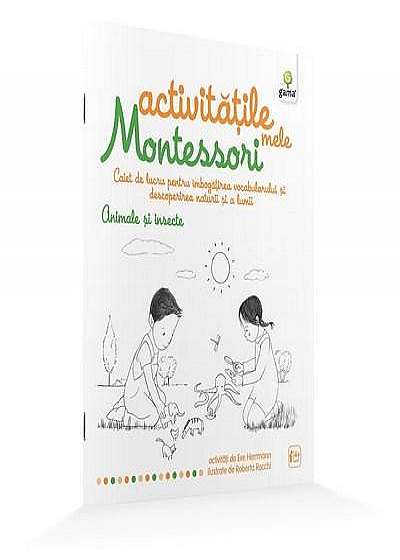 Timpul - Activitatile mele Montessori