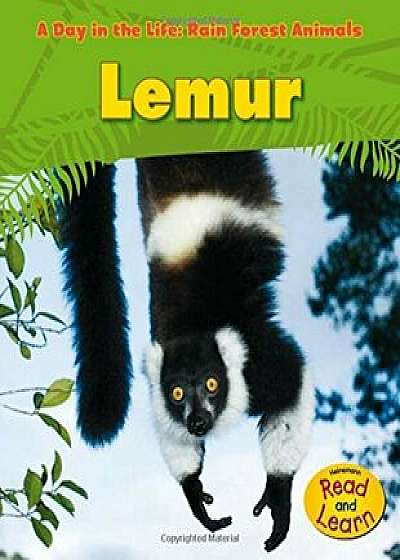 Lemur, Paperback/Anita Ganeri