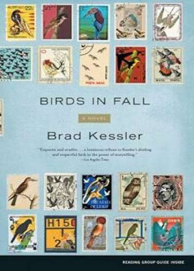 Birds in Fall, Paperback/Brad Kessler