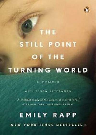 The Still Point of the Turning World, Paperback/Emily Rapp Black