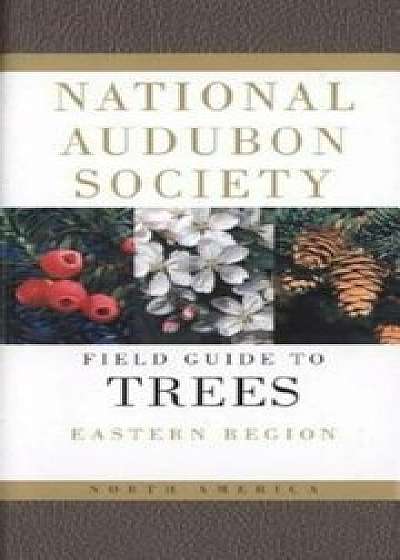 National Audubon Society Field Guide to North American Trees: Eastern Region, Paperback/National Audubon Society