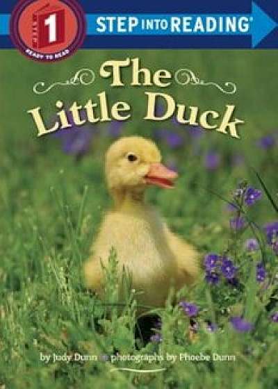The Little Duck, Paperback/Judy Dunn