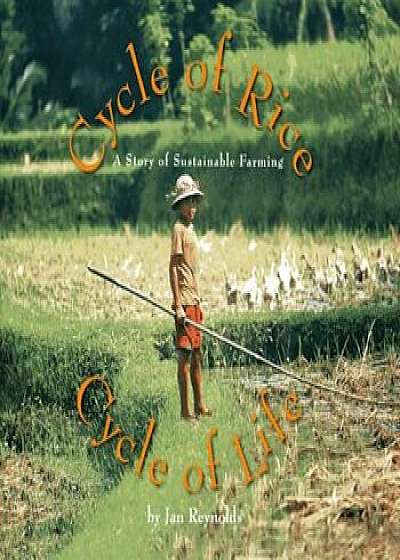 Cycle of Rice, Cycle of Life: A Story of Sustainable Farming, Paperback/Jan Reynolds