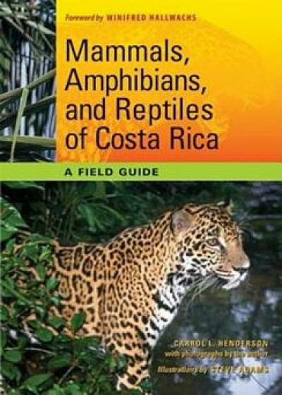 Mammals, Amphibians, and Reptiles of Costa Rica: A Field Guide, Paperback/Carrol L. Henderson