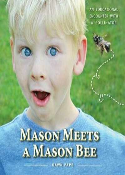 Mason Meets a Mason Bee: An Educational Encounter with a Pollinator, Paperback/Dawn V. Pape