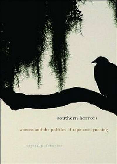 Southern Horrors: Women and the Politics of Rape and Lynching, Paperback/Crystal N. Feimster
