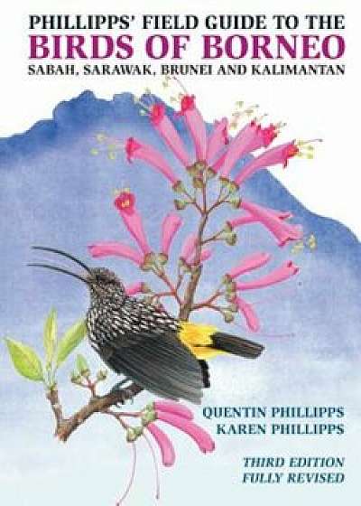 Phillipps' Field Guide to the Birds of Borneo: Sabah, Sarawak, Brunei, and Kalimantan, Fully Revised Third Edition, Paperback/Quentin Phillipps