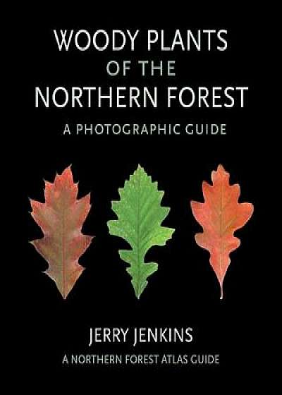 Woody Plants of the Northern Forest: A Photographic Guide, Paperback/Jerry Jenkins