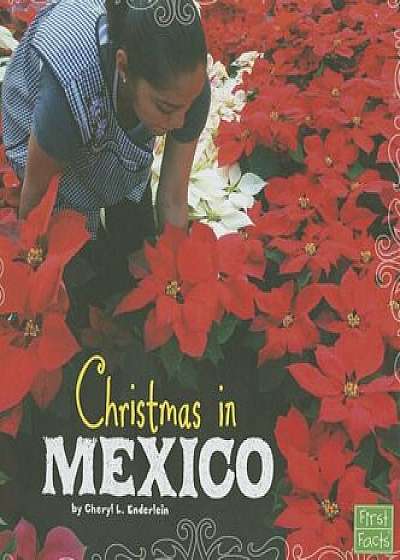 Christmas in Mexico, Hardcover/Cheryl L. Enderlein