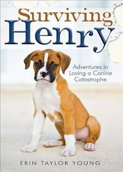 Surviving Henry: Adventures in Loving a Canine Catastrophe, Paperback/Erin Taylor Young
