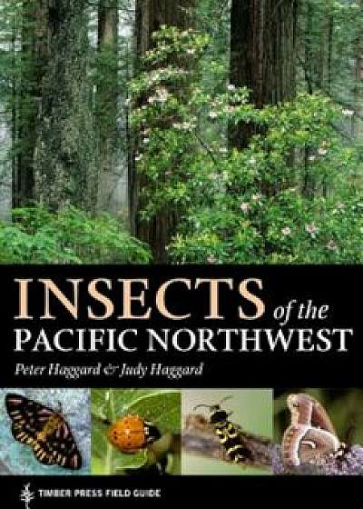 Insects of the Pacific Northwest, Paperback/Judy Haggard