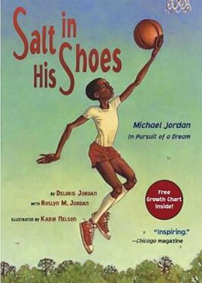 Salt in His Shoes: Michael Jordan in Pursuit of a Dream, Paperback/Deloris Jordan