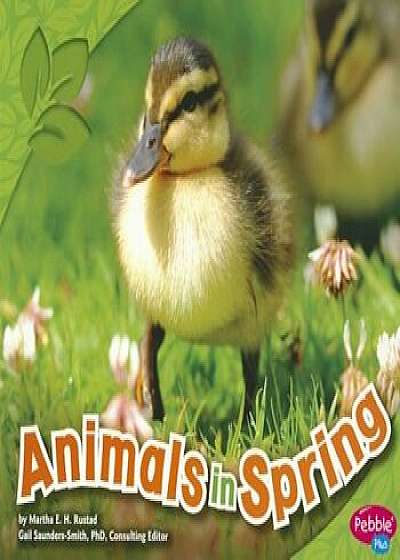 Animals in Spring, Paperback/Martha E. H. Rustad