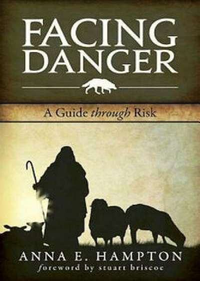 Facing Danger: A Guide Through Risk, Paperback/Dr Anna E. Hampton