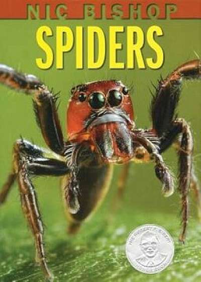 Nic Bishop Spiders, Hardcover/Nic Bishop