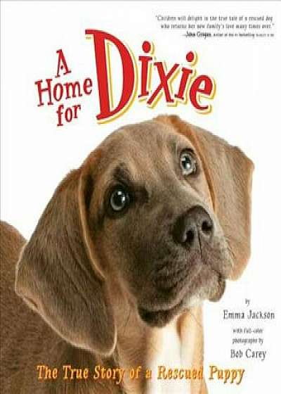 A Home for Dixie: The True Story of a Rescued Puppy, Paperback/Emma Jackson