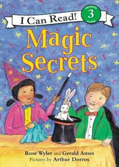 Magic Secrets, Paperback/Rose Wyler