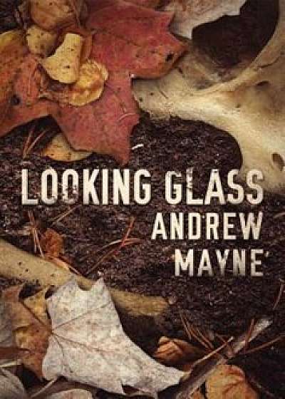 Looking Glass, Paperback/Andrew Mayne