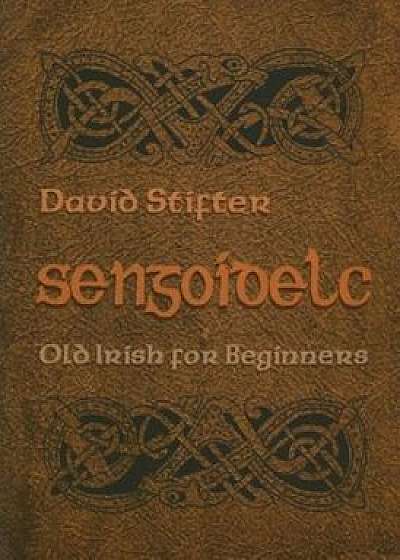 Sengoidelc: Old Irish for Beginners, Paperback/David Stifter