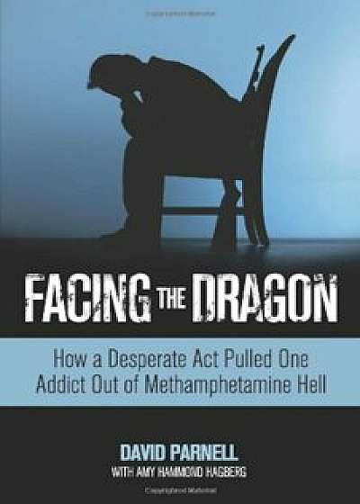 Facing the Dragon: How a Desperate Act Pulled One Addict Out of Methamphetamine Hell, Paperback/David Parnell