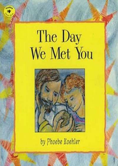 The Day We Met You, Paperback/Phoebe Koehler