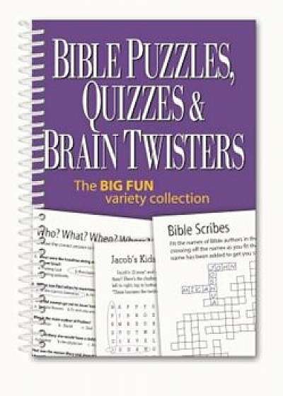 Bible Puzzles, Quizzes & Brain Twisters: The Big Fun Variety Collection, Paperback/Product Concept Mfg Inc
