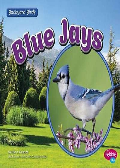 Blue Jays, Paperback/Lisa J. Amstutz