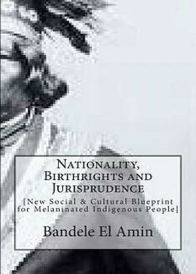 Nationality, Birthrights and Jurisprudence: New Social & Cultural Blueprint for Melaninated Indigenous People, Paperback/Bandele El Amin