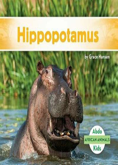 Hippopotamus, Hardcover/Grace Hansen