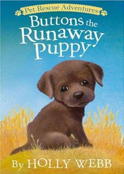 Buttons the Runaway Puppy, Paperback/Holly Webb