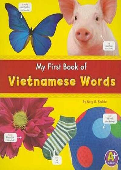 My First Book of Vietnamese Words, Paperback/Katy R. Kudela