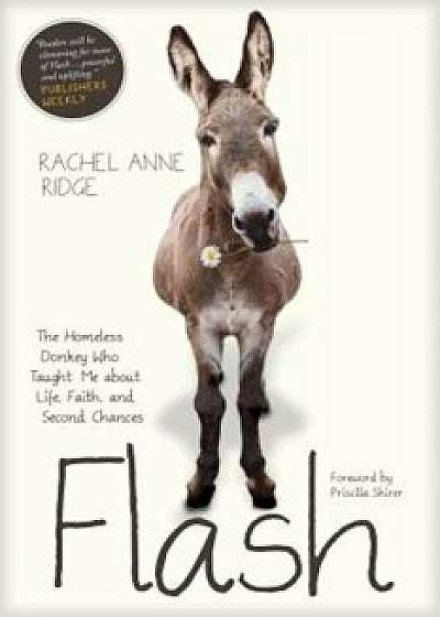 Flash: The Homeless Donkey Who Taught Me about Life, Faith, and Second Chances, Paperback/Rachel Anne Ridge