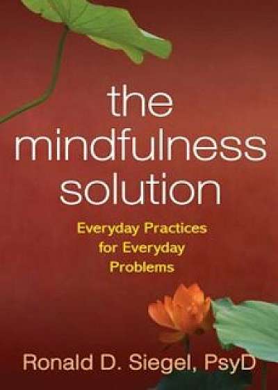 The Mindfulness Solution: Everyday Practices for Everyday Problems, Paperback/Ronald D. Siegel