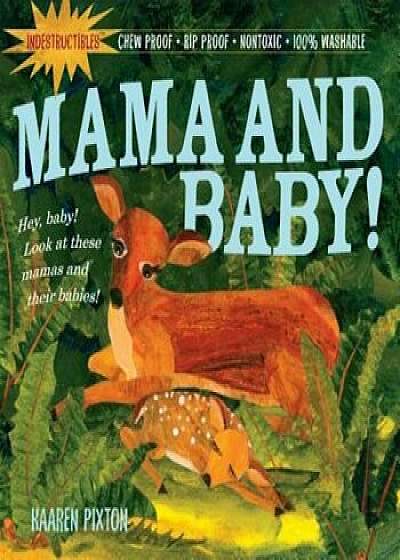 Indestructibles: Mama and Baby!, Paperback/Amy Pixton