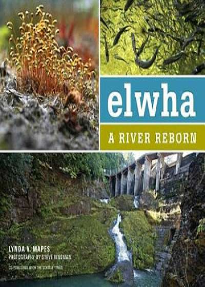 Elwha: A River Reborn, Paperback/Lynda Mapes
