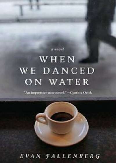 When We Danced on Water, Paperback/Evan Fallenberg