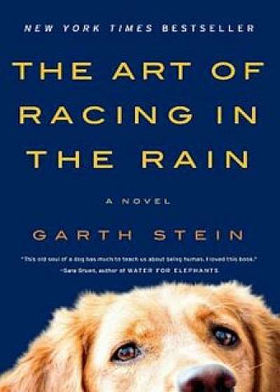 The Art of Racing in the Rain, Paperback/Garth Stein