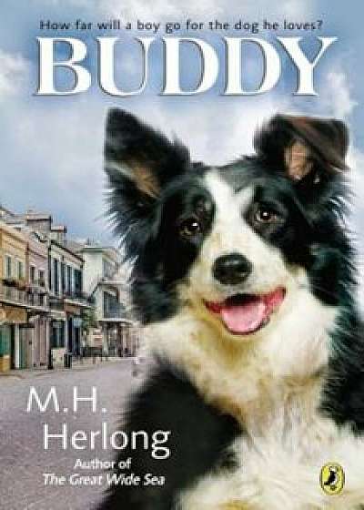 Buddy, Paperback/M. H. Herlong