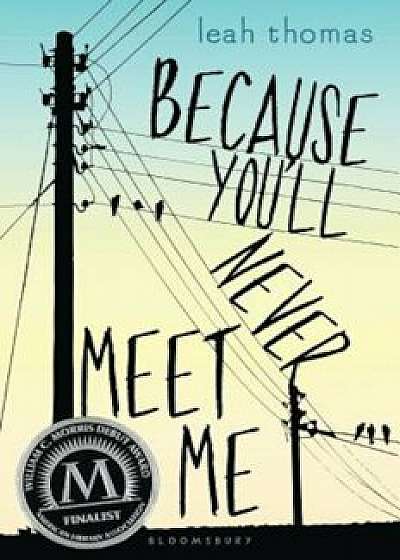 Because You'll Never Meet Me, Hardcover/Leah Thomas