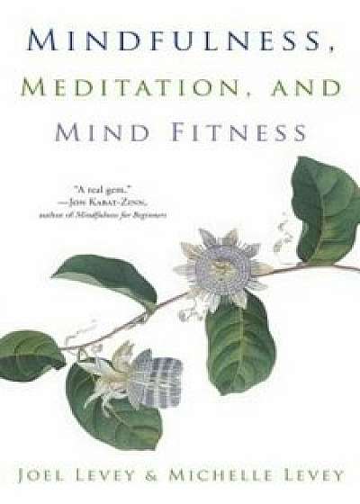 Mindfulness, Meditation, and Mind Fitness, Paperback/Joel Levey