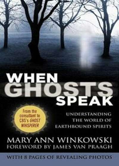 When Ghosts Speak: Understanding the World of Earthbound Spirits, Paperback/Mary Ann Winkowski