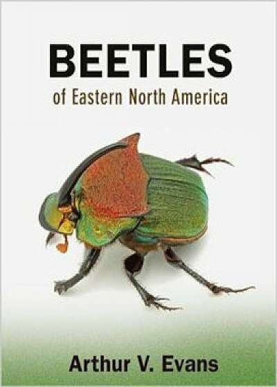 Beetles of Eastern North America, Paperback/Arthur V. Evans