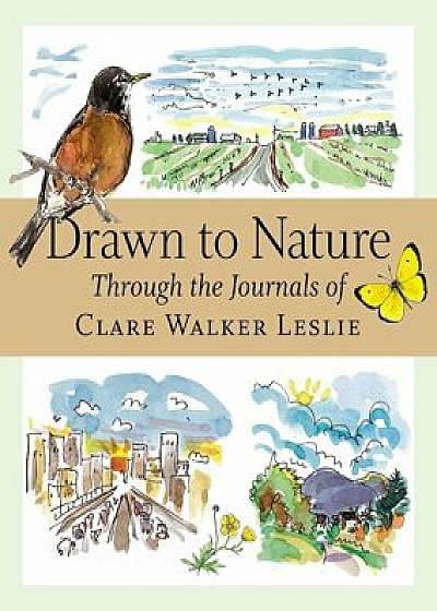 Drawn to Nature: Through the Journals of Clare Walker Leslie, Paperback/Clare Walker Leslie