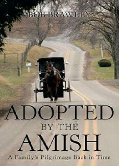 Adopted by the Amish: A Family's Pilgrimage Back in Time, Paperback/Bob Brawley