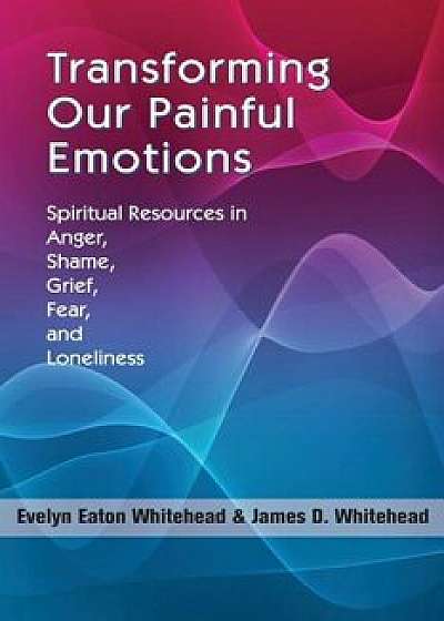 Coperta cărții Transforming Our Painful Emotions: Spiritual Resources in Anger, Shame, Grief, Fear and Loneliness, Paperback/Evelyn Eaton Whitehead
