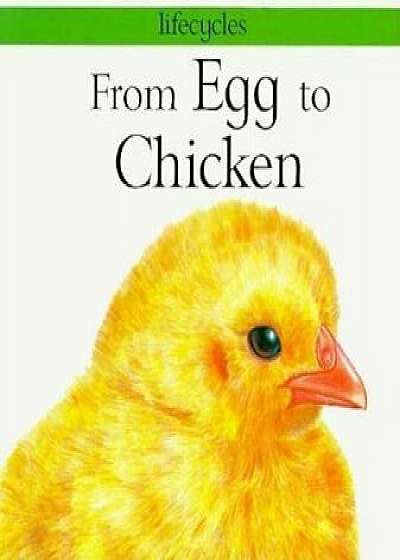 From Egg to Chicken, Paperback/Gerald Scrace Legg
