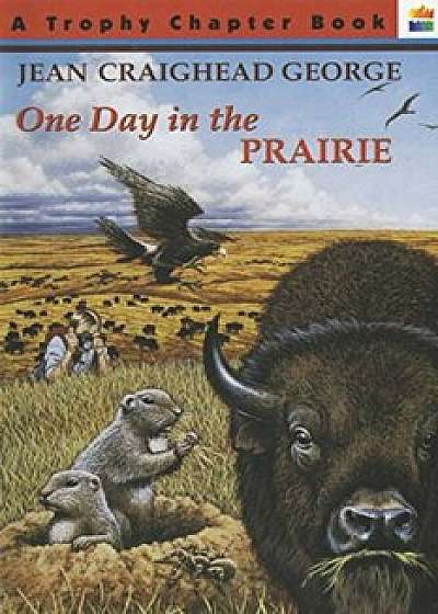 One Day in the Prairie, Paperback/Jean Craighead George
