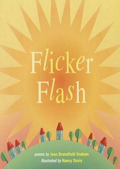 Flicker Flash, Paperback/Joan Bransfield Graham